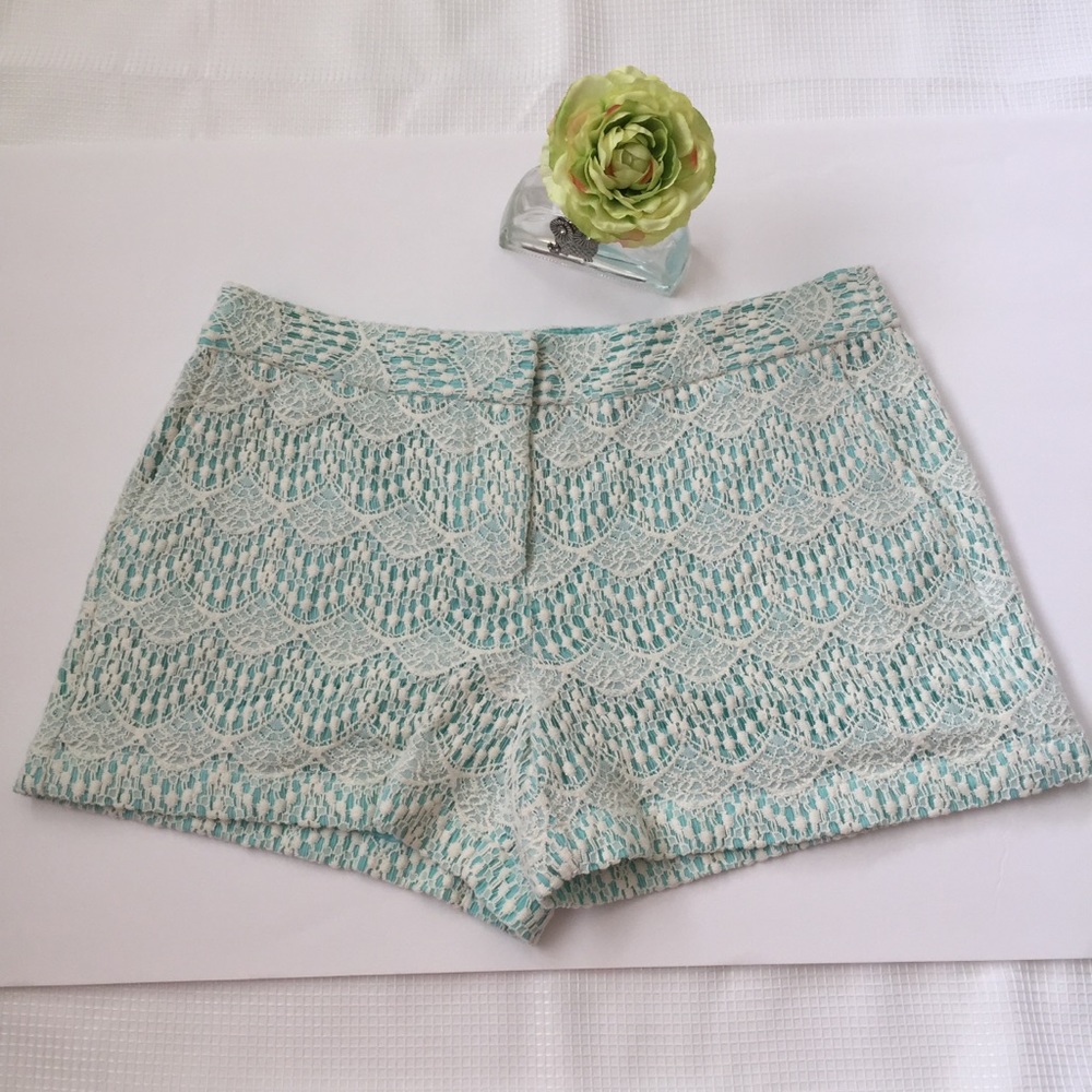 Ann Taylor LOFT lace shorts Size 8. - Picture 4 of 5